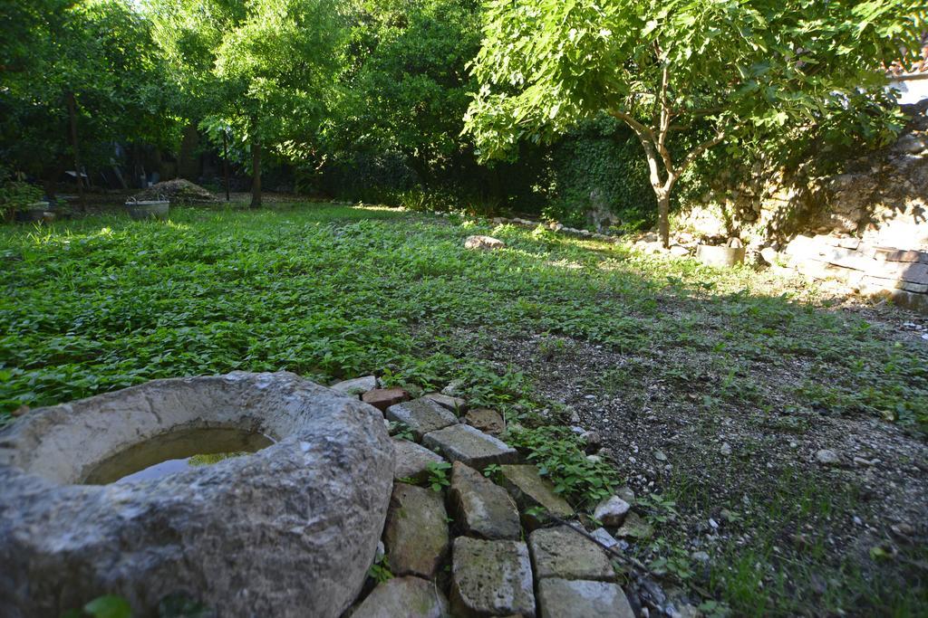Appartamento House 561 Cattaro