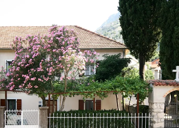 House 561