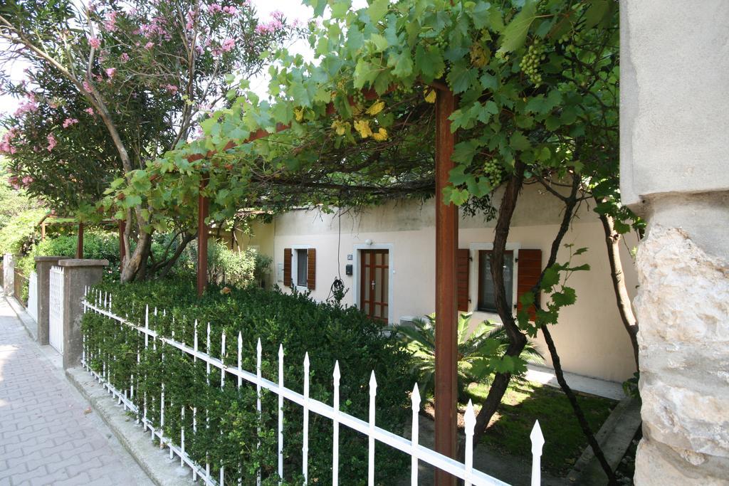 דירה House 561
